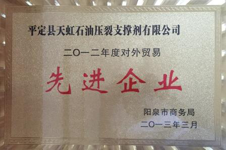 荣誉资质